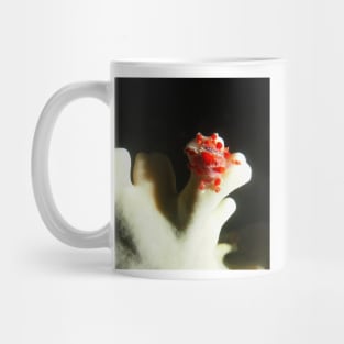 Cryptic Teardrop Crab at Night Mug